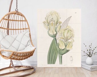 Vintage Iris Flower Tile Mural: Botanical Ceramic Panel Wall Art