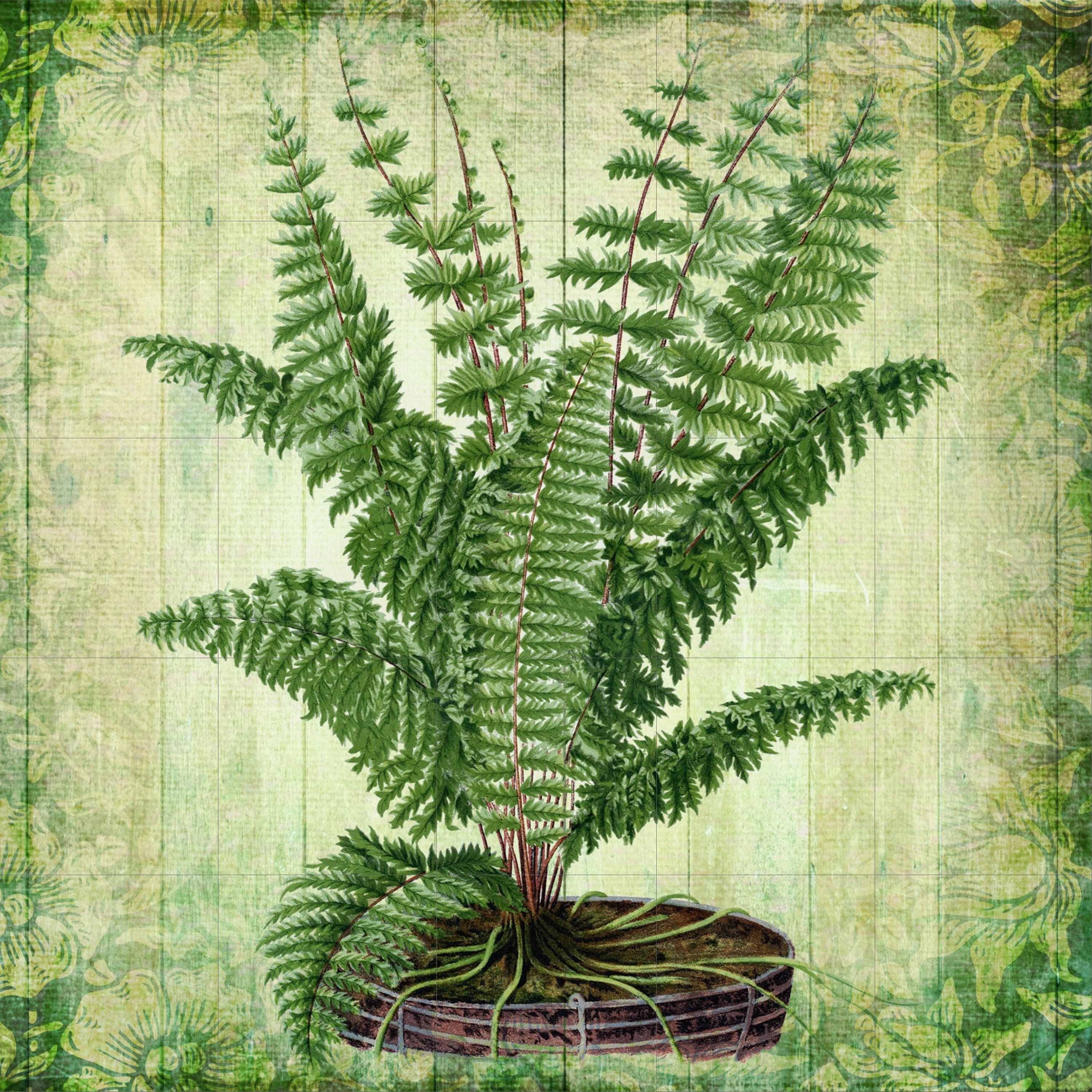 シダのタイル壁画：植物モザイクセラミック壁アート - Etsy 日本