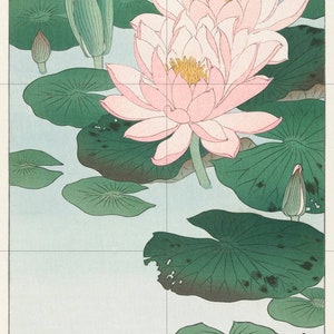 Water Lily Tile Mural: Ohara Koson Japanese Floral Art