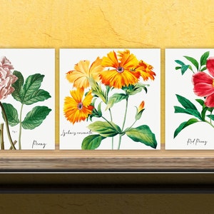 Vintage Botanical Print Ceramic Tiles - Set of 3 Ceramic Decor Tiles - Kitchen Backsplash Tiles, Bathroom Tiles, Botanical wall art