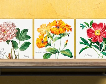 Vintage Botanical Print Ceramic Tiles - Set of 3 Ceramic Decor Tiles - Kitchen Backsplash Tiles, Bathroom Tiles, Botanical wall art