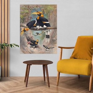 Puede incluir: Una ilustración vintage de cuatro cálaos negros y amarillos posados en una rama en un entorno selvático. Las aves tienen picos largos y curvos y marcas amarillas brillantes en la cabeza y las alas.