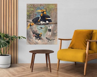 Rhinoceros Hornbill Tile Mural: Joseph Wolf Bird Art, Gloss Ceramic Panel