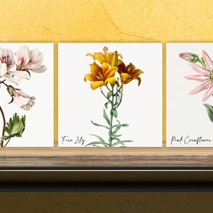 Vintage Botanical Print Ceramic Tiles - Set of 3 Ceramic Decor Tiles - Kitchen Backsplash Tiles, Bathroom Tiles, Botanical wall art