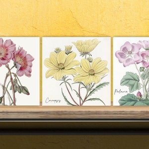 Vintage Botanical Print Ceramic Tiles - Set of 3 Ceramic Decor Tiles - Kitchen Backsplash Tiles, Bathroom Tiles, Botanical wall art