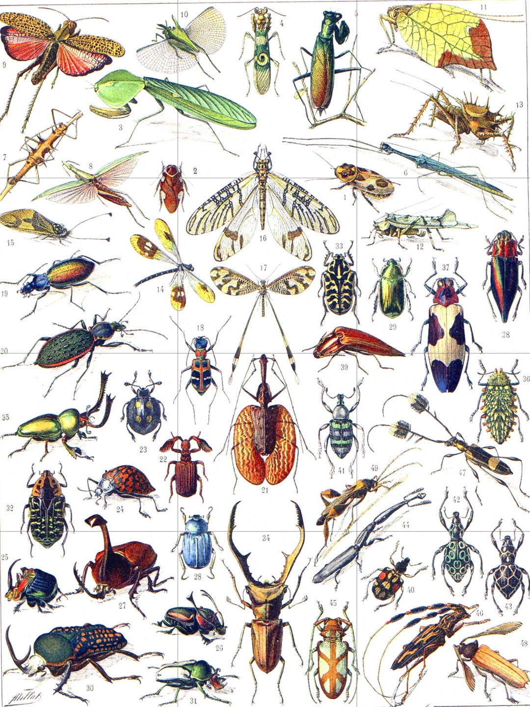 Tile Mural/mosaic Ceramic Panel of Insects - Adolphe Millot - Vintage ...