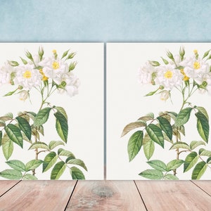 Floral Design Tile Musk Roses - Set of 2 Floral Wall Décor Ceramic Tiles - Kitchen Backsplash Tiles, Table Decorative Tiles, Bathroom Tiles