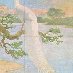 Tile Mural/Mosaic Ceramic Panel of White Peacock - Charles Robert Knight - Bird Wall Art Decor - Peacock Mural - Gloss Tiles - Tile Mosaic