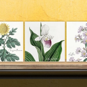 Vintage Botanical Print Ceramic Tiles - Set of 3 Ceramic Decor Tiles - Kitchen Backsplash Tiles, Bathroom Tiles, Botanical wall art