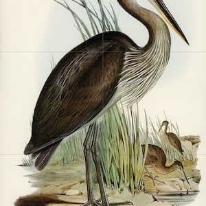 Tegelmuurschildering reiger: mozaïek muurkunst vogel