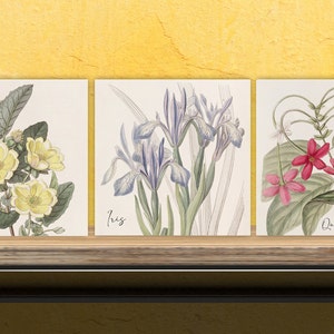Vintage Botanical Print Ceramic Tiles - Set of 3 Ceramic Decor Tiles - Kitchen Backsplash Tiles, Bathroom Tiles, Botanical wall art