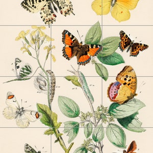 Tile Mural/Mosaic Vintage Butterfly Print  - Butterflies wall print - Butterflies vintage illustration -Tile Mural - Home decor- Tile Mosaic