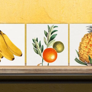Vintage Fruit Print Ceramic Tiles - Set of 3 Ceramic Decor Tiles - Kitchen Backsplash Tiles, Bathroom Tiles, Fruit illustration print