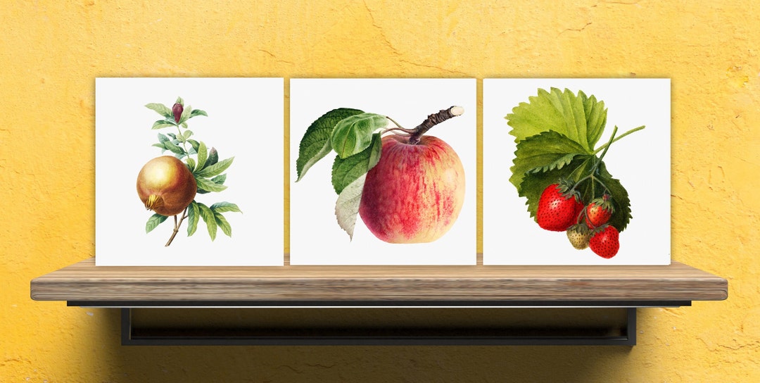 Vintage Fruit Print Ceramic Tiles Set of 3 Ceramic Decor Tiles Kitchen