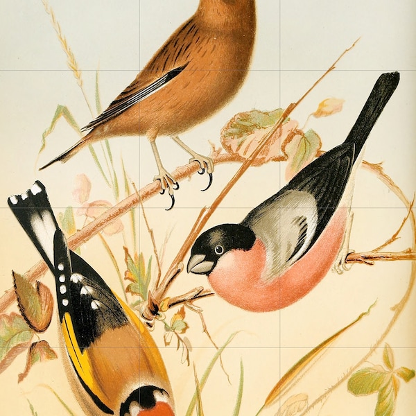 Tile Mural/Mosaic Ceramic Panel of Birds - Archibald Thorburn -Bird Mural - Gloss Tiles -Bird Mosaic - Bird Wall Art- Bird Prints Home Decor