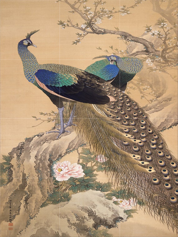 Peacocks boys cheap coats