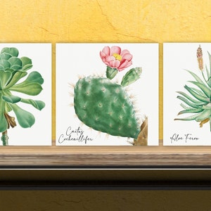 Vintage Botanical Print Ceramic Tiles - Set of 3 Ceramic Decor Tiles - Kitchen Backsplash Tiles, Bathroom Tiles, Botanical wall art