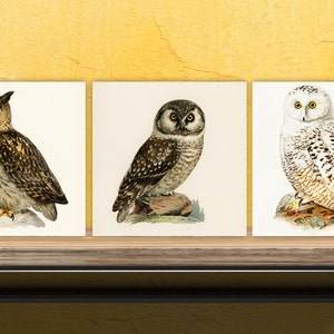 Vintage keramische tegels met uilprint - set van 3 keramische decortegels - keukentegels, badkamertegels, muurkunst vogel, uilillustratie