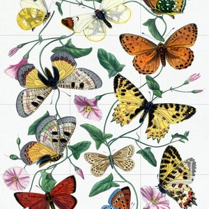 Tile Mural/Mosaic Vintage Butterfly Print  - Butterflies wall print - Butterflies vintage illustration -Tile Mural - Home decor- Tile Mosaic