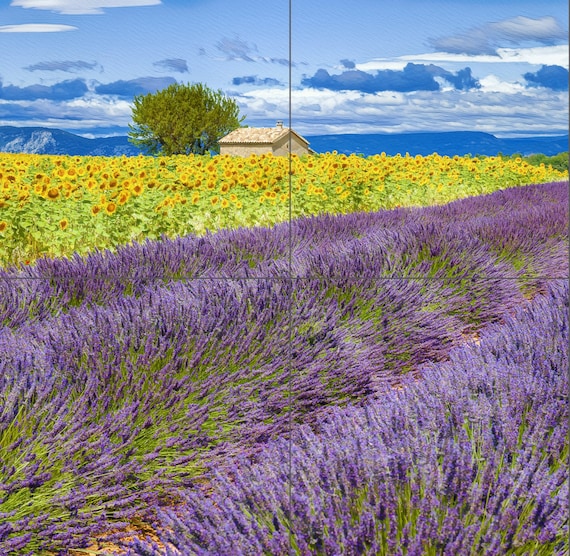 プロヴァンス風タイル壁画：ラベンダー畑のセラミックモザイク壁画