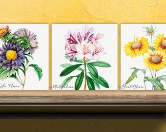Vintage Botanical Print Ceramic Tiles - Set of 3 Ceramic Decor Tiles - Kitchen Backsplash Tiles, Bathroom Tiles, Botanical wall art