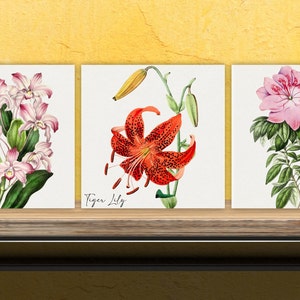 Vintage Botanical Print Ceramic Tiles - Set of 3 Ceramic Decor Tiles - Kitchen Backsplash Tiles, Bathroom Tiles, Botanical wall art