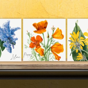 Vintage Botanical Print Ceramic Tiles - Set of 3 Ceramic Decor Tiles - Kitchen Backsplash Tiles, Bathroom Tiles, Botanical wall art