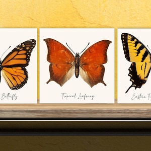 Butterfly vintage illustration Set of 3 Ceramic tiles,Ceramic Decor Tiles,Kitchen Backsplash , Bathroom Tiles, Vintage illustration wall art