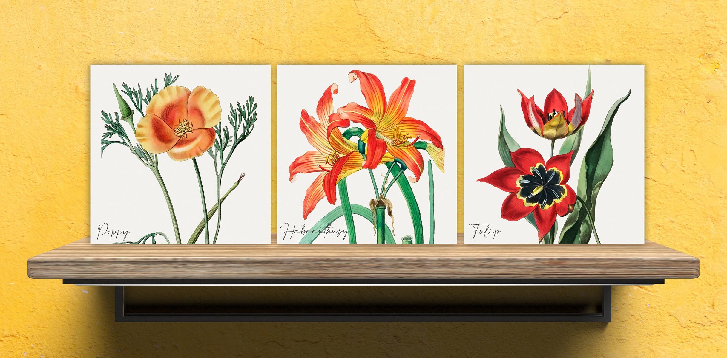 Vintage Botanical Print Ceramic Tiles - Set of 3 Ceramic Decor Tiles - Kitchen Backsplash Tiles, Bathroom Tiles, Botanical wall art