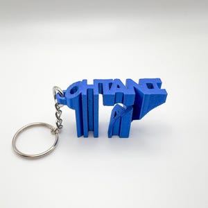 May include: A blue 3D printed keychain with the word "OTANI" spelled out in a unique font.