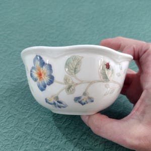 May include: A white ceramic bowl with a floral design featuring blue and orange flowers, green leaves, and a red ladybug. The bowl has a scalloped rim and is held by a hand.