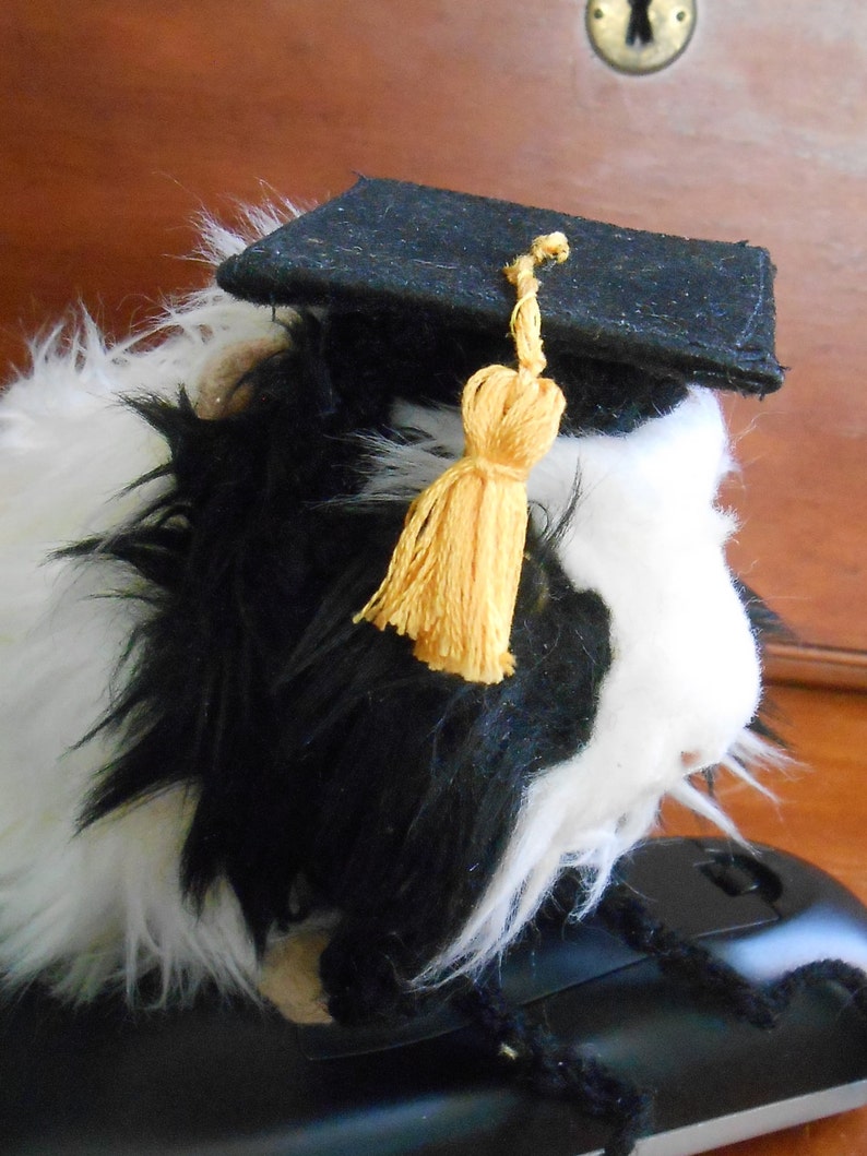 Ferret Graduation Hat Tiny Graduation Cap for Bearded Dragon Guinea Pig Graduation Hat