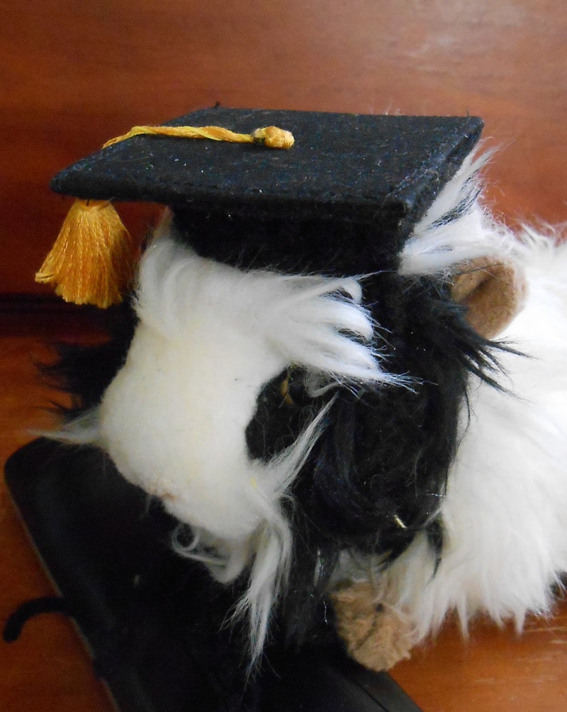 Ferret Graduation Hat Tiny Graduation Cap for Bearded Dragon Guinea Pig Graduation Hat