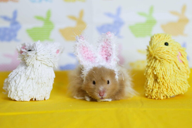 Hamster Easter Bunny Ears Hat Hamster clothes Halloween Etsy