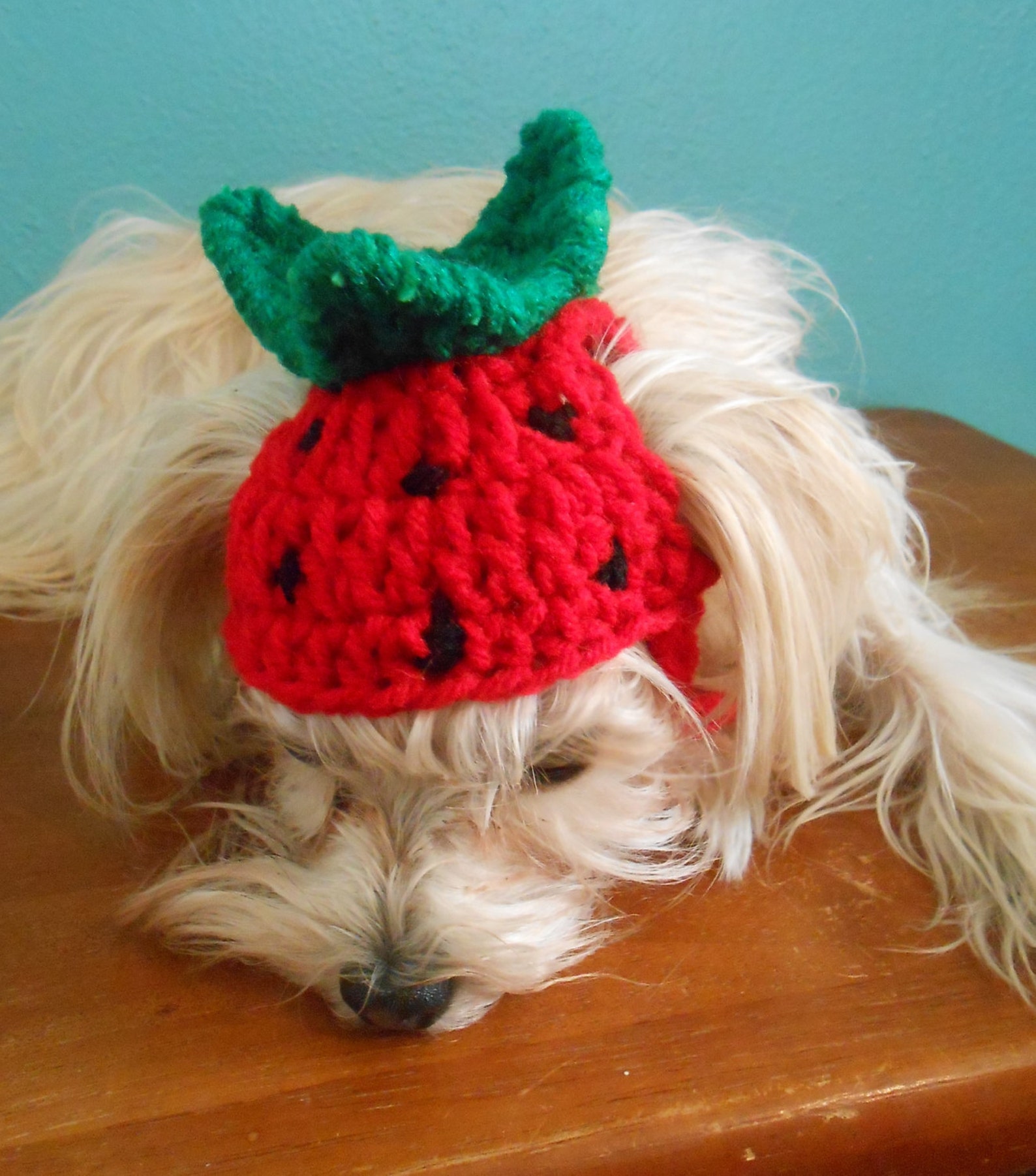 Crocheted Strawberry Dog Hat Strawberry Cat Hat Strawberry Etsy
