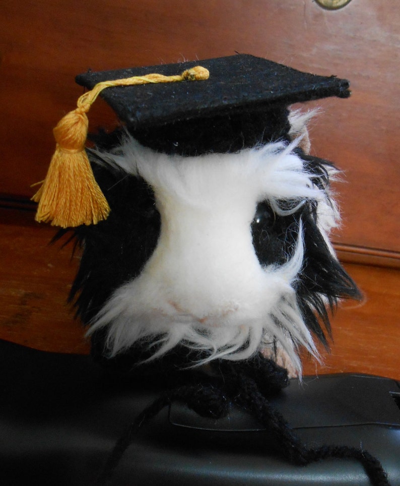 Ferret Graduation Hat Tiny Graduation Cap for Bearded Dragon Guinea Pig Graduation Hat