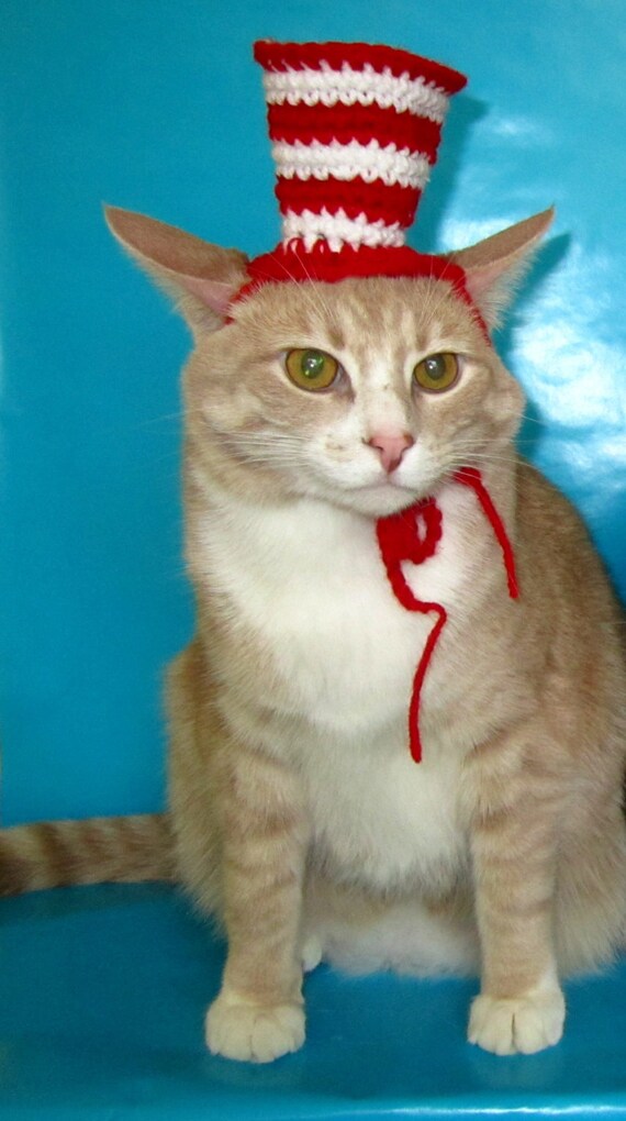 Cat in the Hat Costume Red and White Striped Tophat for Cats
