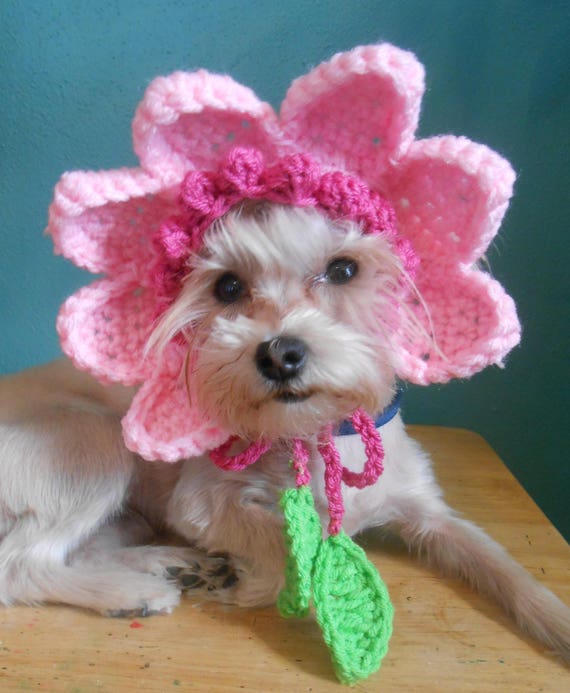 Crochet chapeau à fleurs pour chien ou chat rose fleur Etsy