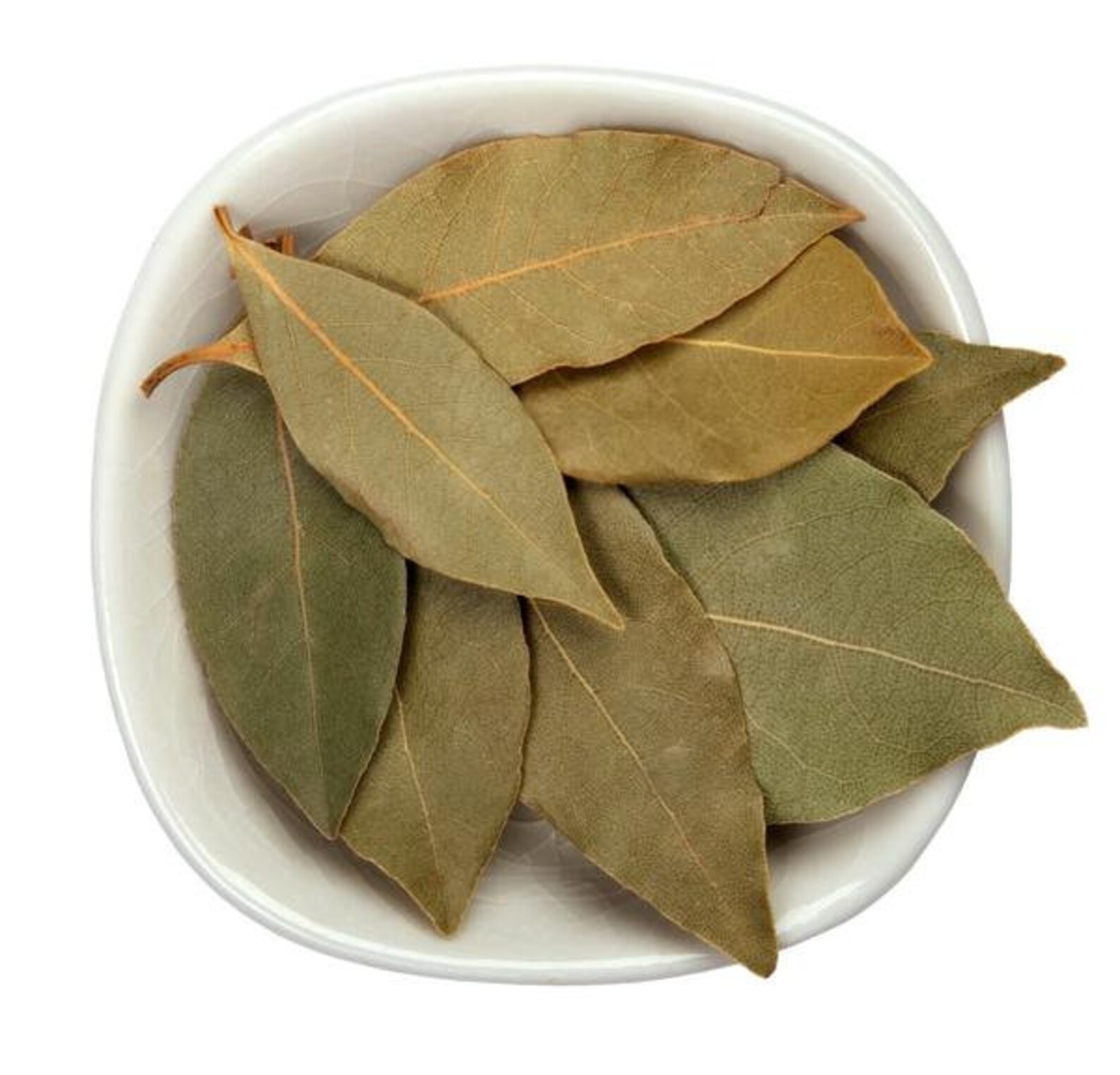 Pure BAY LEAVES POWDER Ground Bay Leaves Etsy