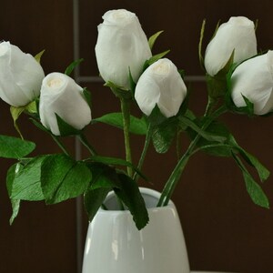 Paper Roses