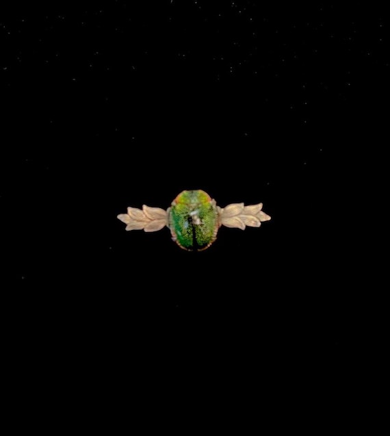 Antique Scarab Beetle Victorian Brooch, Egyptian Revival, Sterling Silver, Iridescent, Real Beetle, 1895, RARE!
