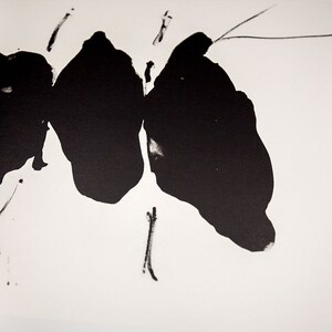 Robert MOTHERWELL 1915-1991 Lithograph Limited Edition ORIGINAL Lithograph Cat. Ref. b387.27 image 2