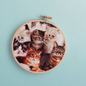Laser Cats, Cat Fabric, Cat Cotton, Funny embroidery, Pussy Grabs Back, home decor, wall decor, living room decor image 2