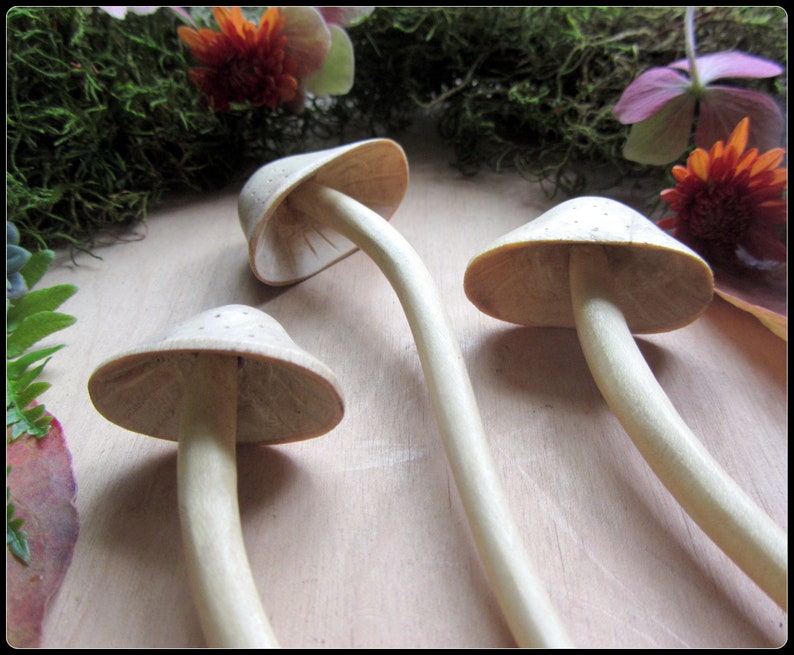 Bâton de cheveux de fée champignon en bois sculpté fourchette en cheveux champignon fille de la forêt mori sombre fille de la nature, sorcière des bois dessins Talismana image 7