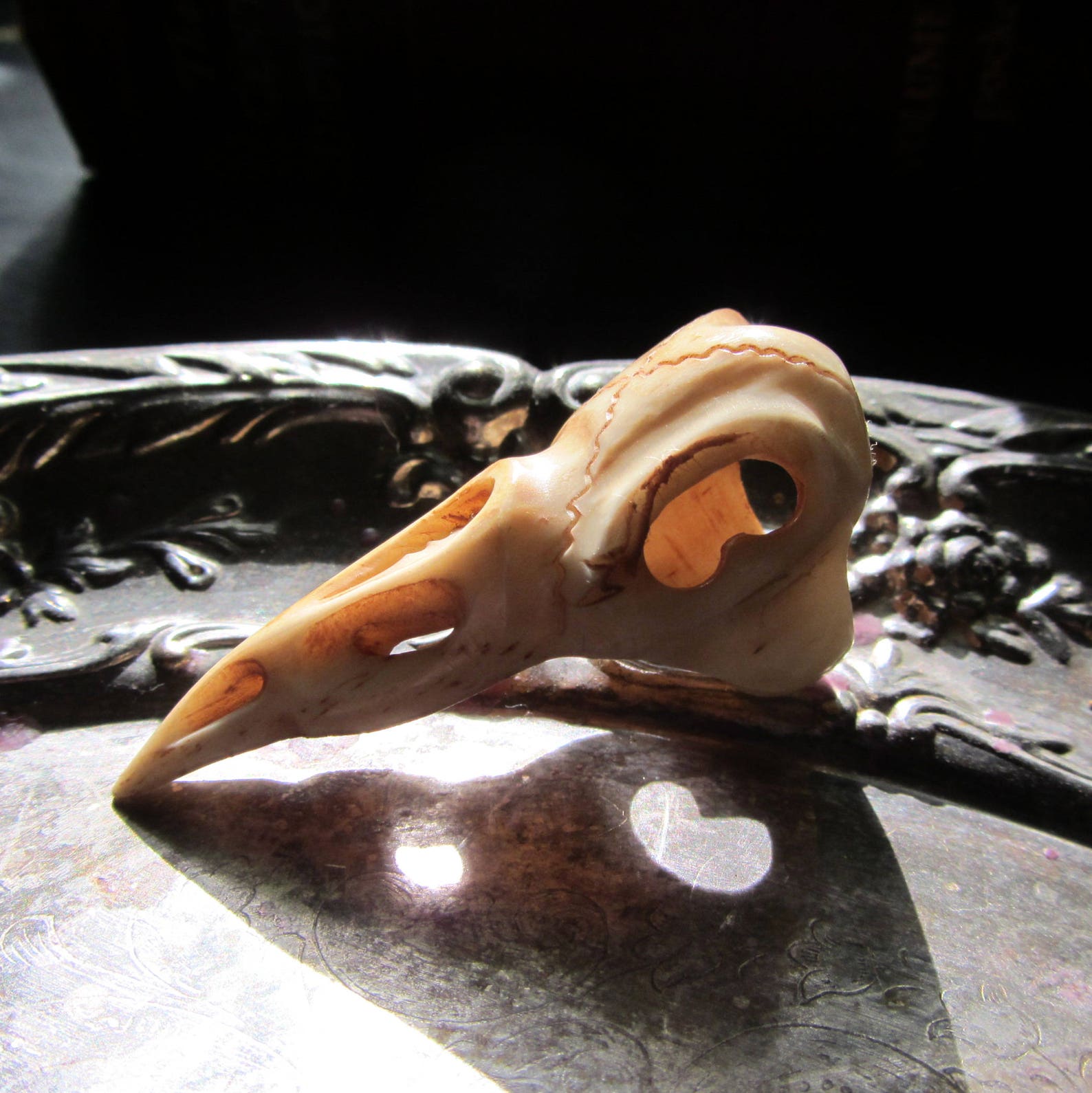 Bird Skull Ring like real skull but carved from bone Raven | Etsy