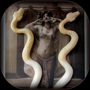Snake Hair Stick for Witchy Wiccan High Priestess Serpent Carved Bone Hairstick Pagan Medusa Tribal Belly Dance Hair Fork, Ayahuasca image 8