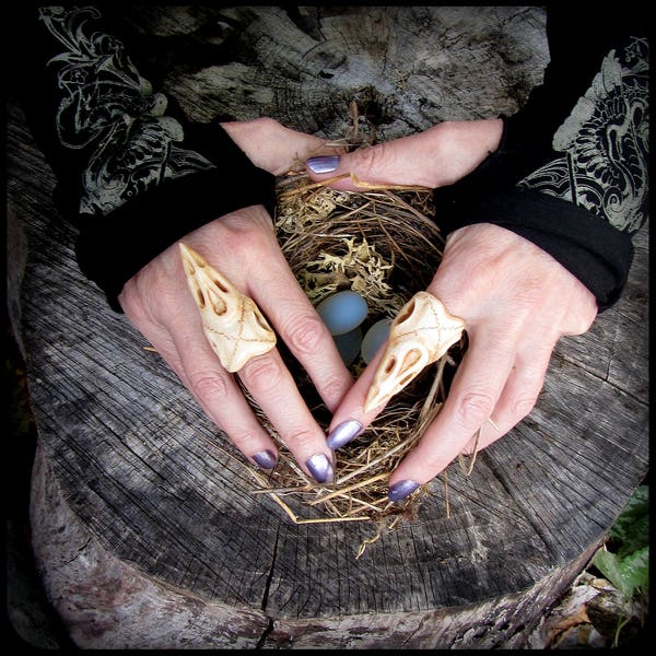 Bird Skull Ring ~ like real skull but carved from bone ~ Raven Skull Ring ~ taxidermy jewelry, oddity, Witch Witchcraft jewelry, crow skull