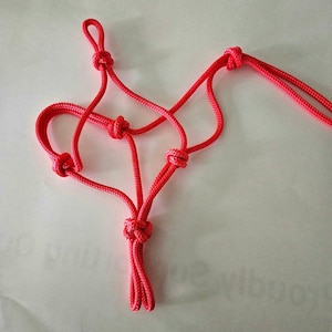 Foal Size 1/4&quot; Rope HALTER yacht rope  U pick color