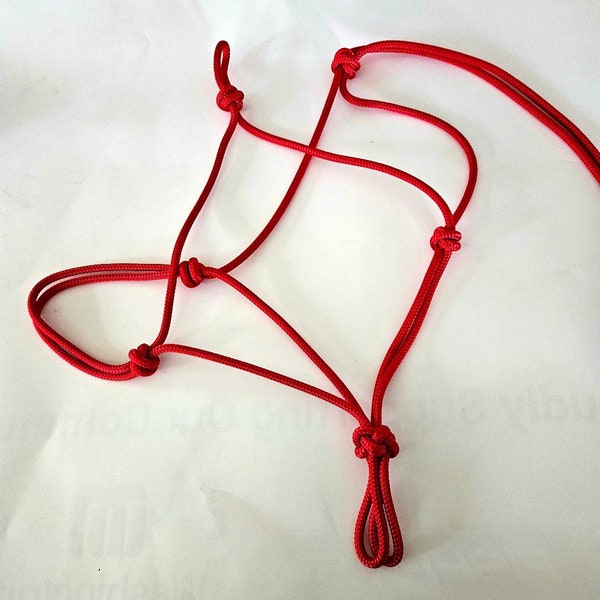 Large Horse/ Warmblood 1/4" Rope HALTER yacht rope U pick color