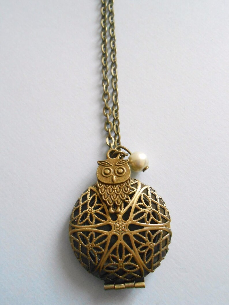 Locket Necklace Photo Medallion Necklace Owl Necklace Bird Etsy